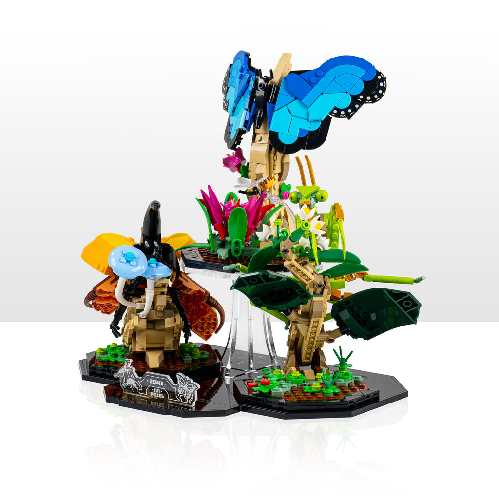 Display stand for LEGO® Ideas: The Insect Collection (21342